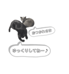 にゃんこの年末年始あいさつ(丁寧＆ラフ)（個別スタンプ：6）