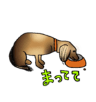 カニンヘンダックスきなこ（個別スタンプ：2）