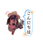 シエルくん by晩ママ（個別スタンプ：3）