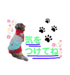 シエルくん by晩ママ（個別スタンプ：11）