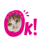 ナナはずっとそばにいるよ（個別スタンプ：2）
