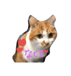 ナナはずっとそばにいるよ（個別スタンプ：4）