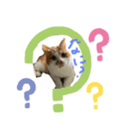 ナナはずっとそばにいるよ（個別スタンプ：5）