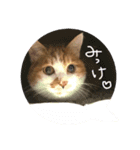 ナナはずっとそばにいるよ（個別スタンプ：6）