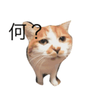 ナナはずっとそばにいるよ（個別スタンプ：7）