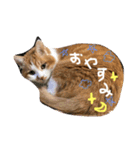 ナナはずっとそばにいるよ（個別スタンプ：8）