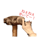 エアロとぽんず（個別スタンプ：13）