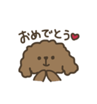 ふわふわトイプードル。（個別スタンプ：1）