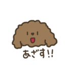 ふわふわトイプードル。（個別スタンプ：5）