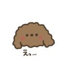 ふわふわトイプードル。（個別スタンプ：12）