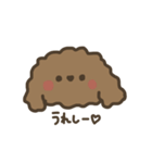 ふわふわトイプードル。（個別スタンプ：13）