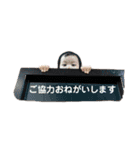 つむじくん3（個別スタンプ：16）