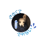 青空日記♪青空くんのLINEスタンプ第2弾！！（個別スタンプ：7）