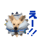 青空日記♪青空くんのLINEスタンプ第2弾！！（個別スタンプ：10）