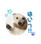 青空日記♪青空くんのLINEスタンプ第2弾！！（個別スタンプ：15）