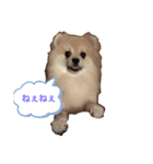 もずく:1st（個別スタンプ：1）