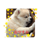 もずく:1st（個別スタンプ：3）