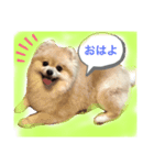 もずく:1st（個別スタンプ：4）