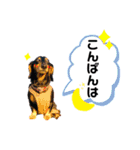 パーシーくん2 by晩寅（個別スタンプ：4）