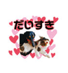 パーシーくん2 by晩寅（個別スタンプ：9）