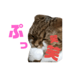 ひこ＆くにゃ2020（個別スタンプ：1）