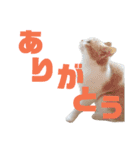 ひこ＆くにゃ2020（個別スタンプ：2）