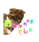 ひこ＆くにゃ2020（個別スタンプ：4）