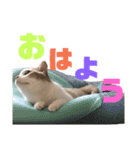 ひこ＆くにゃ2020（個別スタンプ：5）