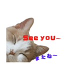 ひこ＆くにゃ2020（個別スタンプ：9）