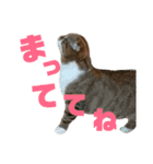 ひこ＆くにゃ2020（個別スタンプ：10）