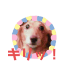 れおさんスタンプ③（個別スタンプ：2）