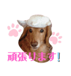 れおさんスタンプ③（個別スタンプ：12）
