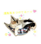 トラチワちゃん☆♡♡♡（個別スタンプ：4）