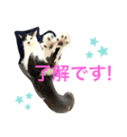 トラチワちゃん☆♡♡♡（個別スタンプ：6）