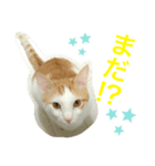 トラチワちゃん☆♡♡♡（個別スタンプ：8）