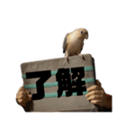 うちのねこ①（個別スタンプ：40）