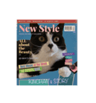 ハチワレ金ちゃんパワー6（個別スタンプ：5）