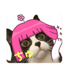 ハチワレ金ちゃんパワー6（個別スタンプ：6）