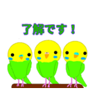 セキセイインコ つくし＆モモ＆アオ（個別スタンプ：6）