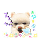 白ぽめしあん日常（個別スタンプ：2）