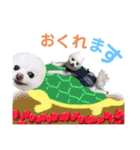 白ぽめしあん日常（個別スタンプ：10）