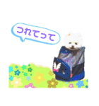 白ぽめしあん日常（個別スタンプ：11）