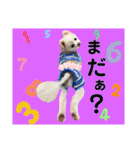 白ぽめしあん日常（個別スタンプ：14）