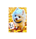 白ぽめしあん日常（個別スタンプ：16）