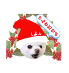 白ぽめしあん日常（個別スタンプ：18）