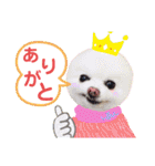 白ぽめしあん日常（個別スタンプ：19）