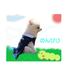 白ぽめしあん日常（個別スタンプ：29）