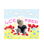 白ぽめしあん日常（個別スタンプ：31）