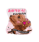 はるちゃん＆あんちゃん（個別スタンプ：3）