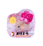 はるちゃん＆あんちゃん（個別スタンプ：6）